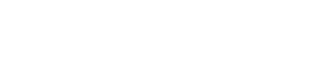 XTranslator